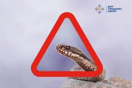 ЩО РОБИТИ, ЯКЩО ВКУСИЛА ЗМІЯ: ПОКРОКОВИЙ АЛГОРИТМ ДІЙ