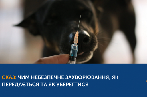СКАЗ: ЧИМ НЕБЕЗПЕЧНЕ ЗАХВОРЮВАННЯ, ЯК ПЕРЕДАЄТЬСЯ ТА ЯК УБЕРЕГТИСЯ