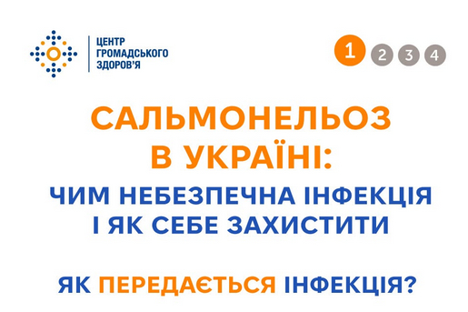 САЛЬМОНЕЛЬОЗ В УКРАЇНІ: ЧИМ НЕБЕЗПЕЧНА ІНФЕКЦІЯ І ЯК СЕБЕ ЗАХИСТИТИ