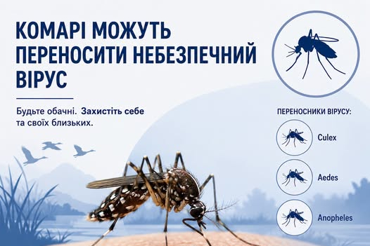 КОМАРІ, ЯКІ МОЖУТЬ ПЕРЕНОСИТИ НЕБЕЗПЕЧНИЙ ВІРУС: ЩО ПОТРІБНО ЗНАТИ УКРАЇНЦЯМ
