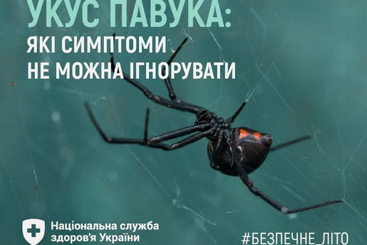 УКУС ПАВУКА: ЯКІ СИМПТОМИ НЕ МОЖНА ІГНОРУВАТИ
