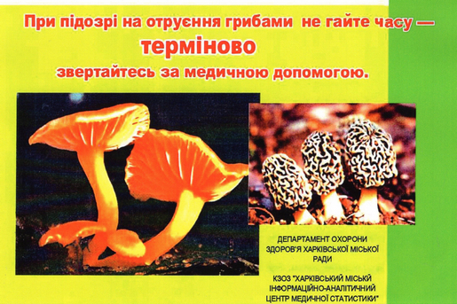 ОБЕРЕЖНО: ГРИБНИЙ СЕЗОН ТА РИЗИК ОТРУЄНЬ