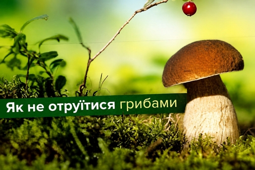 ЯК НЕ ОТРУЇТИСЯ ГРИБАМИ