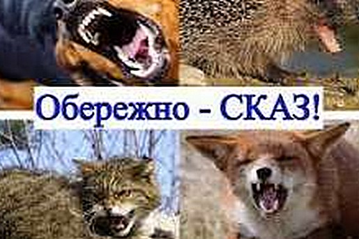 СКАЗ
